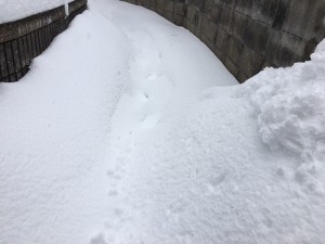 IMG_1713